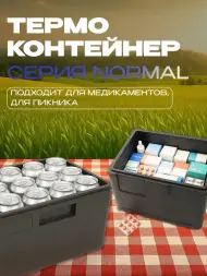 Термоконтейнер TERMOBOX Бытовой Normal, 22 л, 400х300х320 мм, 40кг/м3