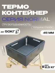 Термоконтейнер TERMOBOX Бытовой Normal, 84 л, 800х600х320 мм, 40кг/м3