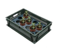 Ящик (лоток) пластиковый для транспортировки растений в горшках, 600x400x150 мм, зеленый [600400150-02]